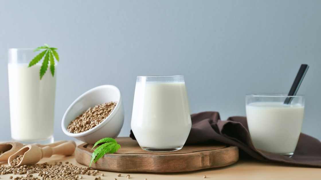 Hemp milk