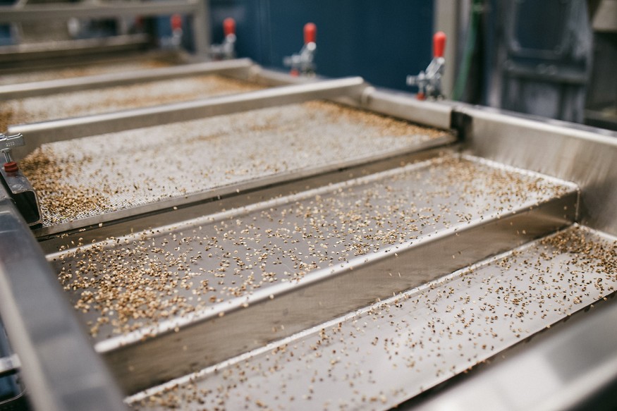 Industrial Hemp Seed Sorter 