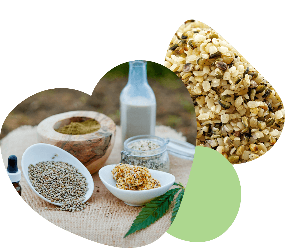 Hemp Food Product Innovation Group Image