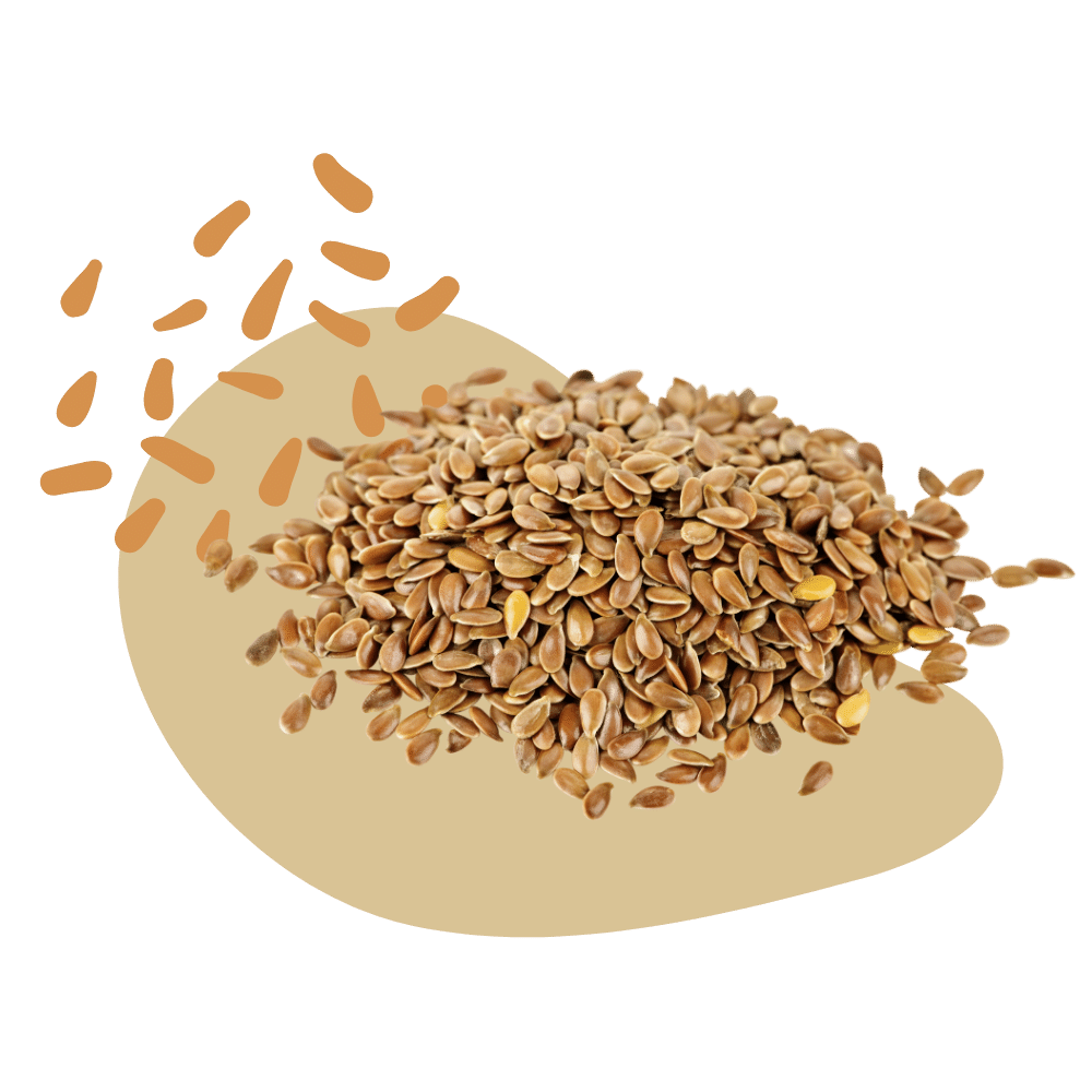 Flaxseed Blue Sky Hemp Ventures