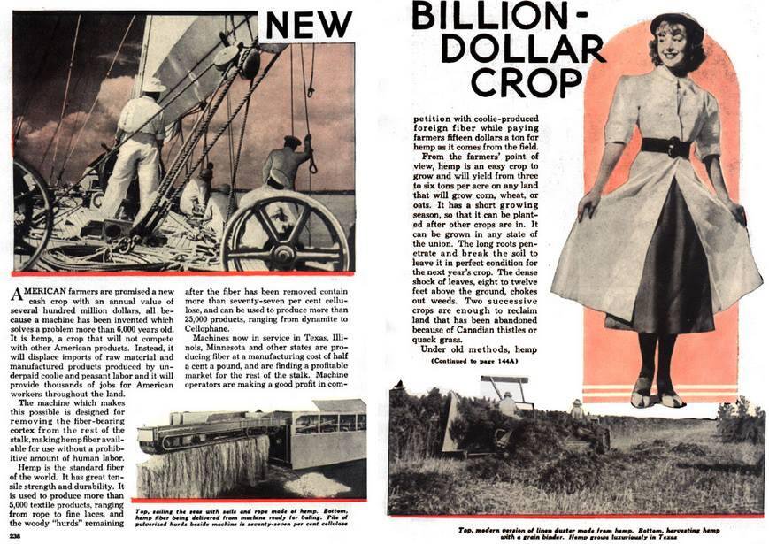 1938 Popular Mechanics Hemp Article 